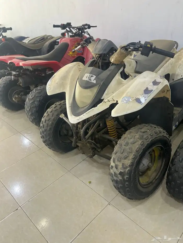 دباب للبيع 1