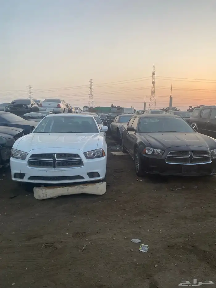 تشليح قطع غيار كابرس-دودج-موستنج-ارمادا 12