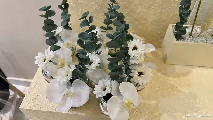 ديكور استقبال مناسبات ولاده تخرج 0