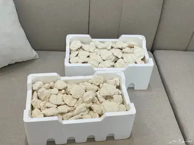 يوجد بقل نظيف جديد هشش 1