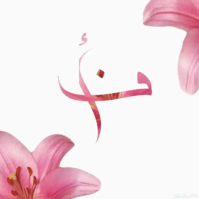 مصممه جرافيك 6