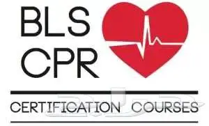 BLS ACLS PALS NRP PHTLS ATLS 0