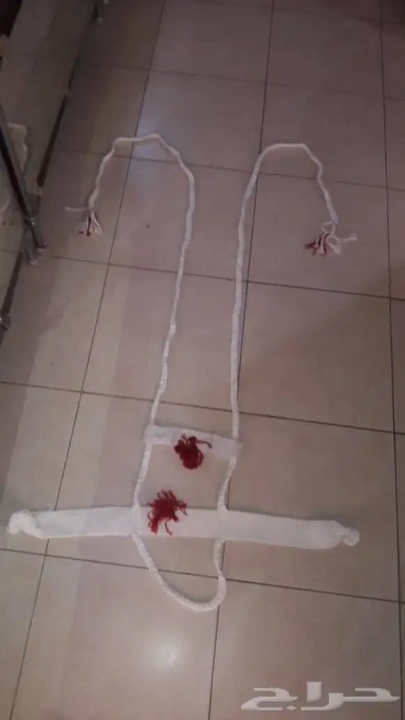 جنايب إبل جملة 3