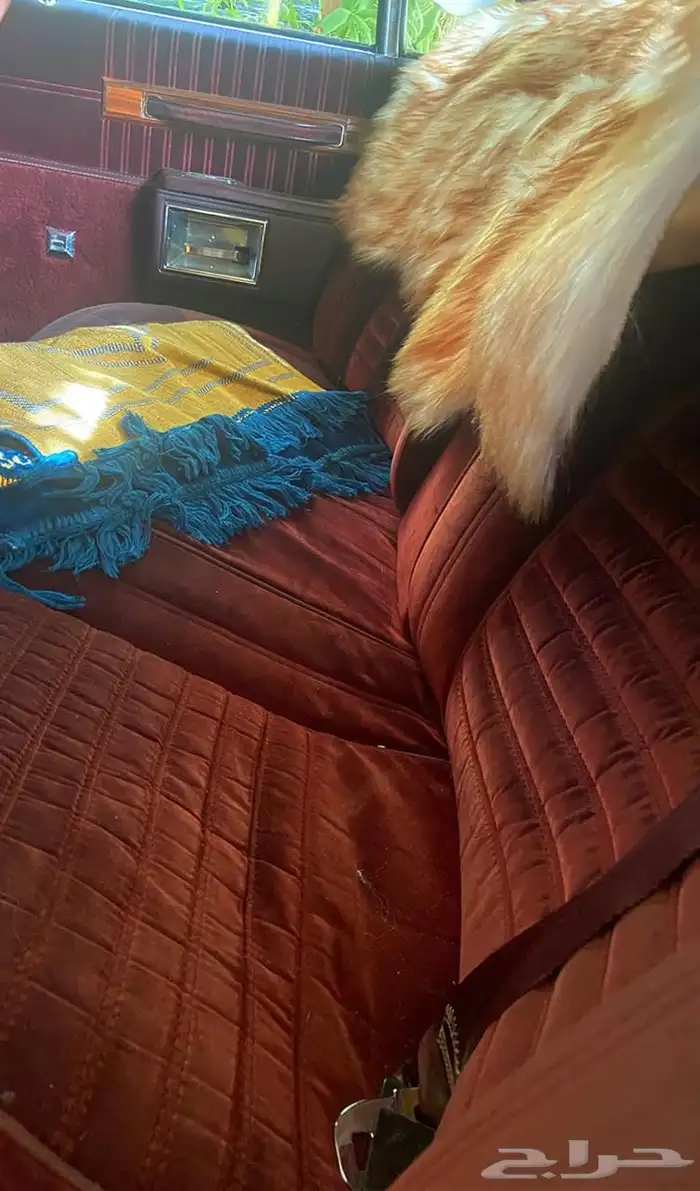 كابرس بروقاهم 89 للبيع 7