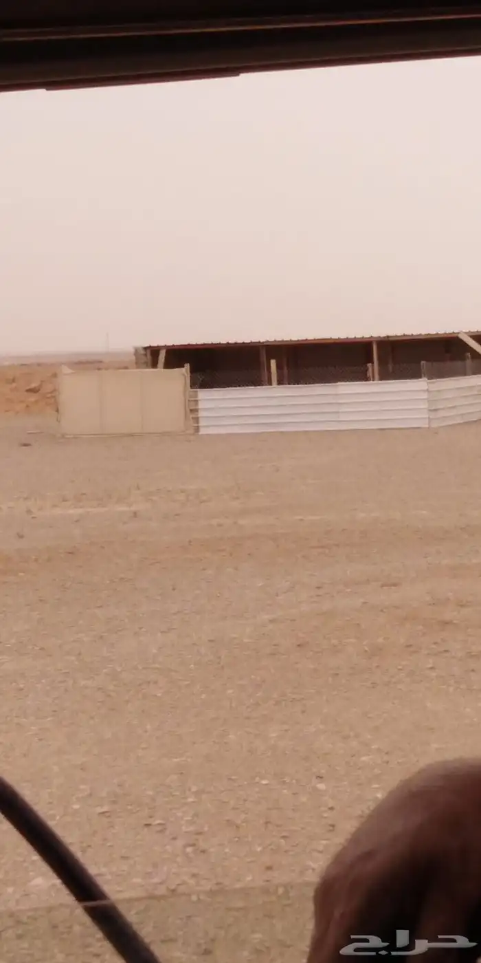 صنادق وجلسات ودورات مياه 0