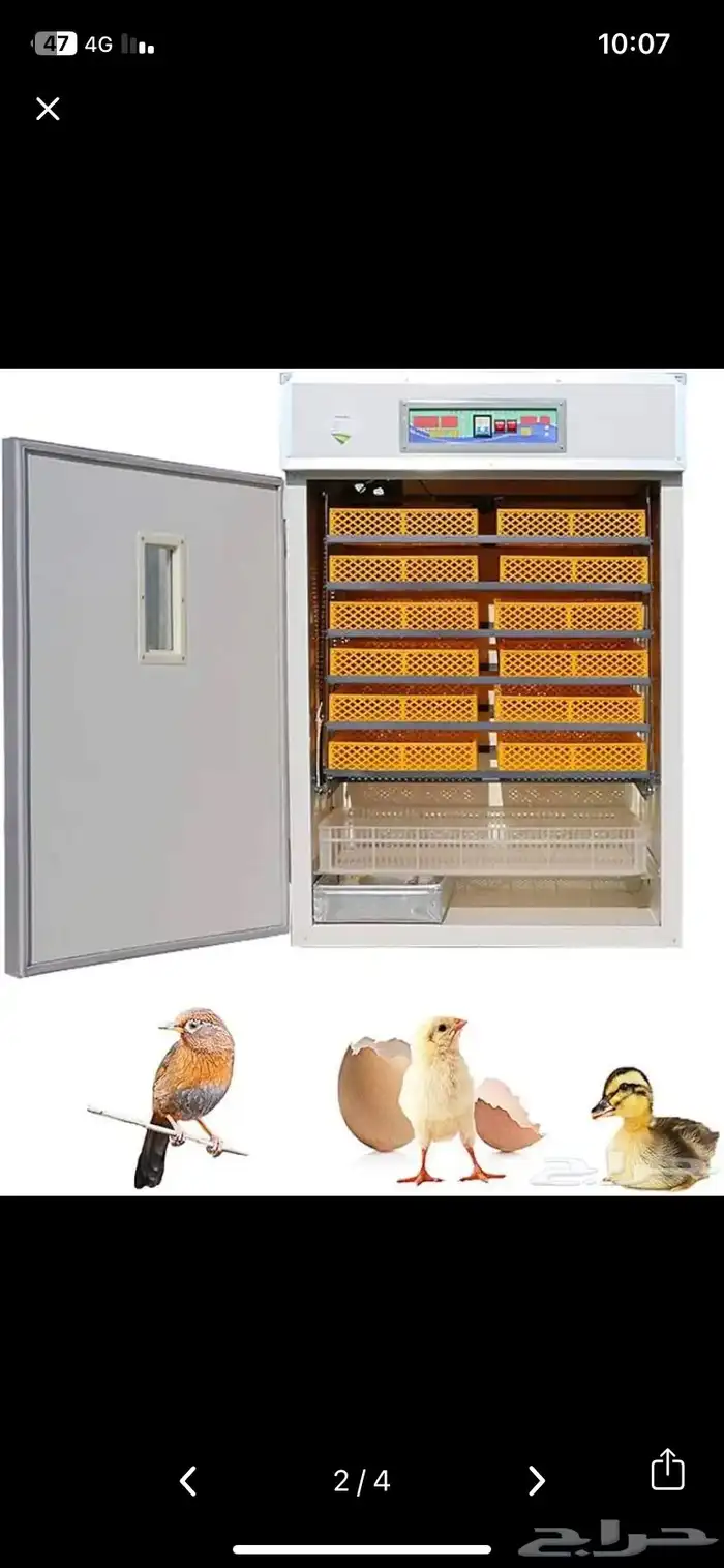 تأجير فقاسات 0