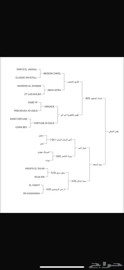 فرس واهو مكس جمال فاخرة 2