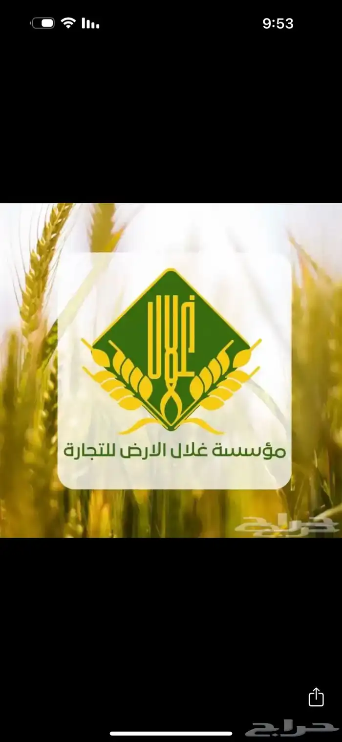 عرض لمدة اسبوع فقط تصميم شعار لوقو 50 ريال فقط 9
