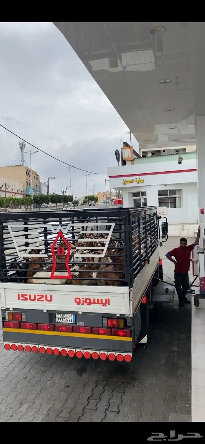 دينه نقل أثاث الباحه جده الرياض جميع انحاء المملكه 1
