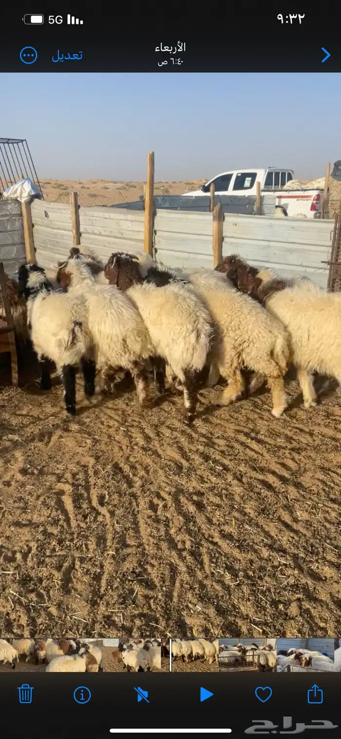 طليان 1