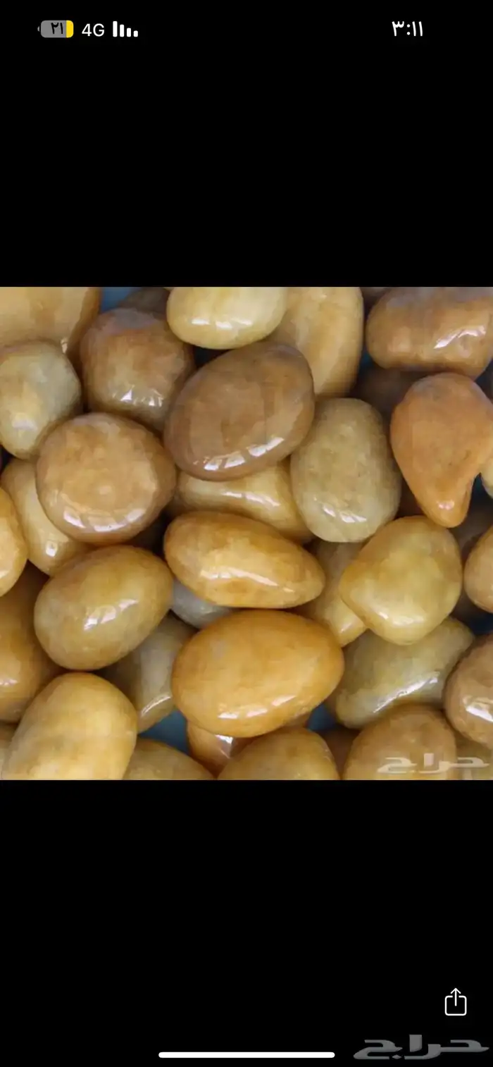 بحص زينه 36