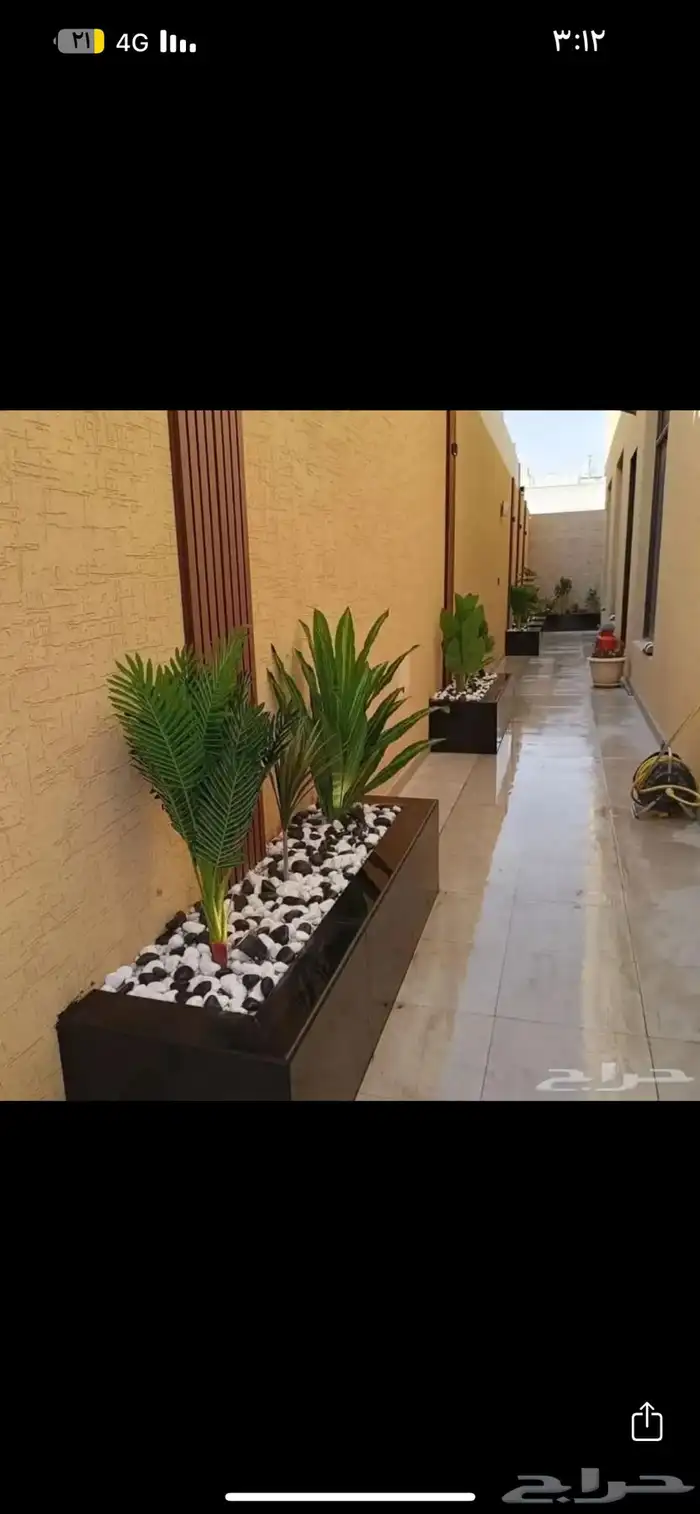 بحص زينه 26
