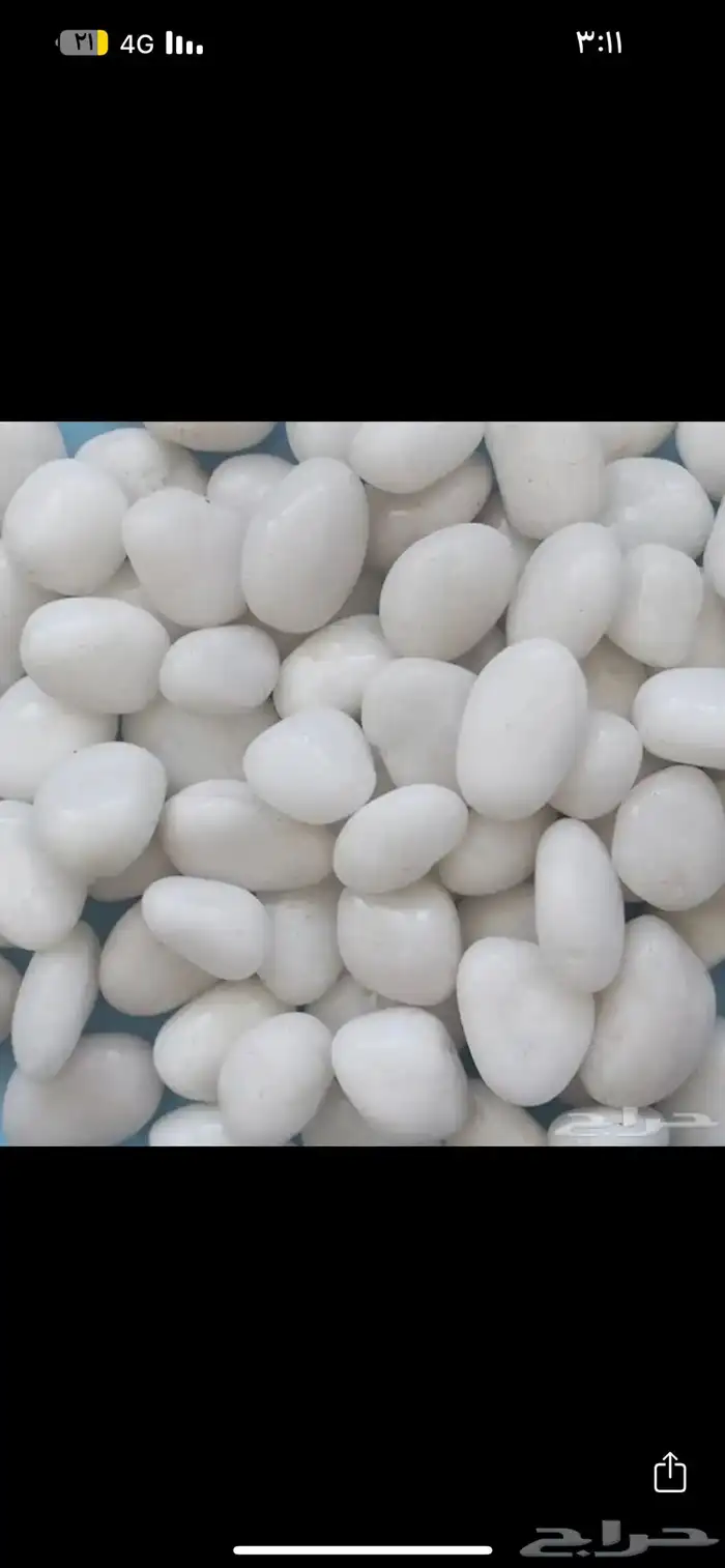 بحص زينه 40