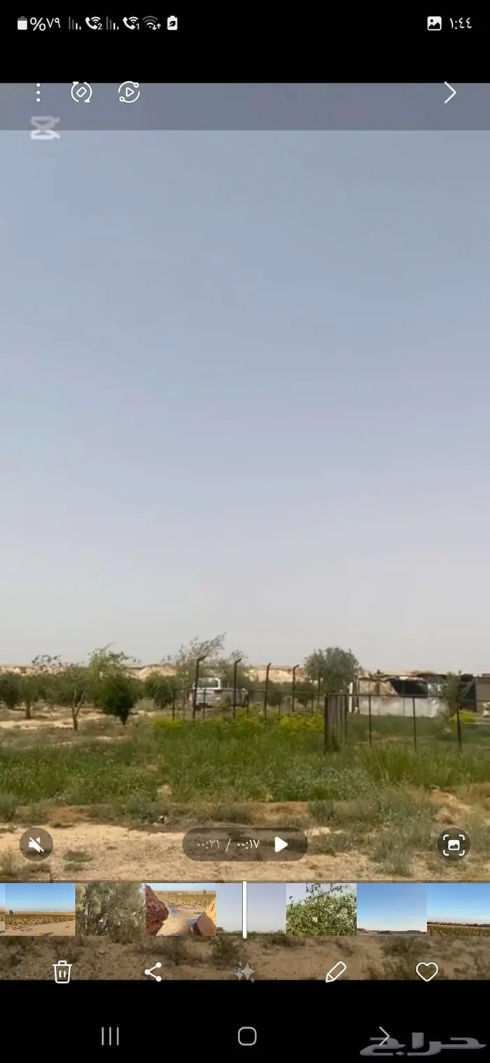 مزرعة زيتون للبيع 3