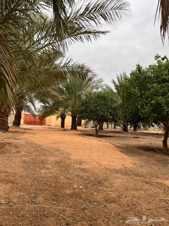 مزرعة بالقاعد الغربي للبيع بالقرب من مربط الطائي 2