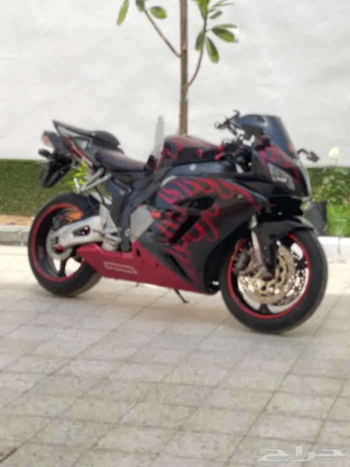 هوندا CBR1000 موديل 2004 4
