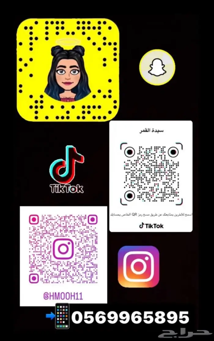 للبيع ببغاء الروز الاليف 5