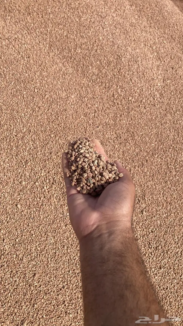 بطحا حايل 1