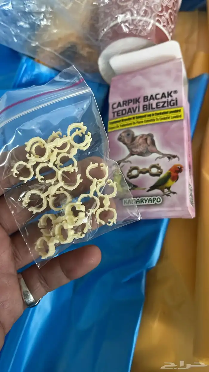 متجر Modi Birds مودي للحيوانات الاليفة 3