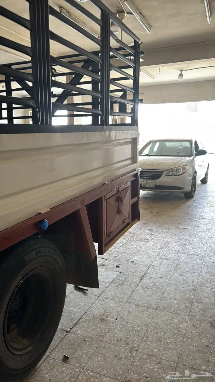 دنه دينا توصيل داخل وخارج تبوك 0