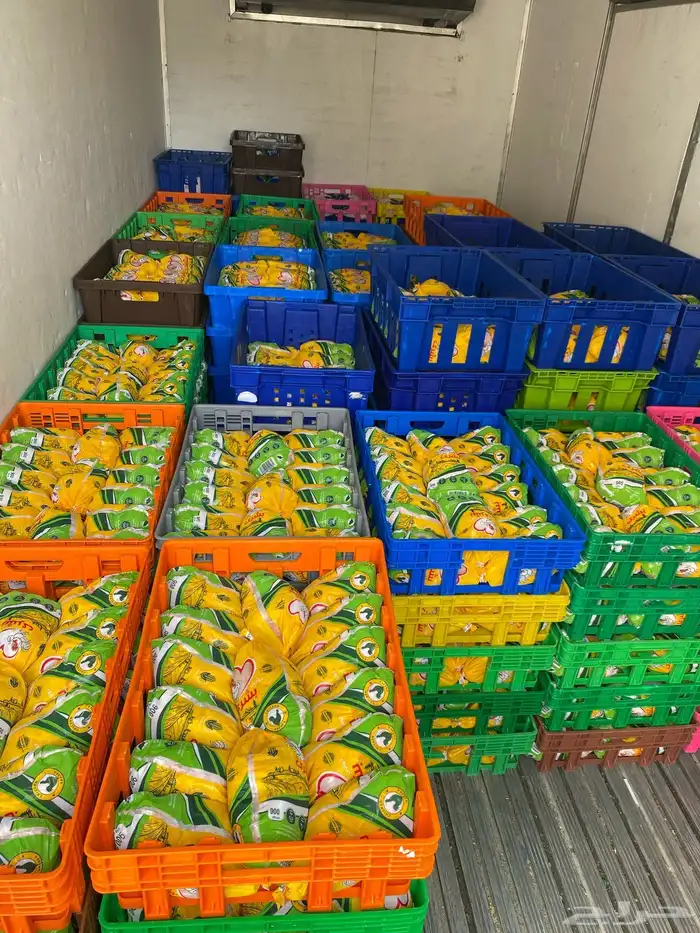 دجاج مبرد اوزان 900 جرام الكرتون 115 ريال و 1000 جرام 0