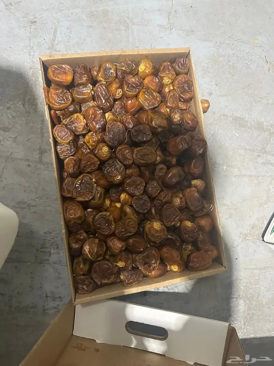 تمر رطب سكري 5