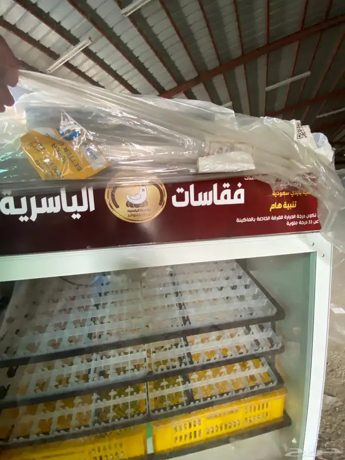 فقاسات الياسريه 2