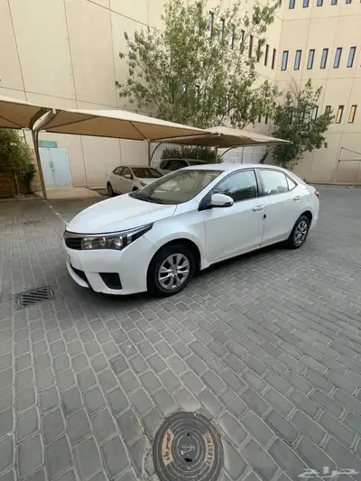 كورلا 2015 نص فل 0