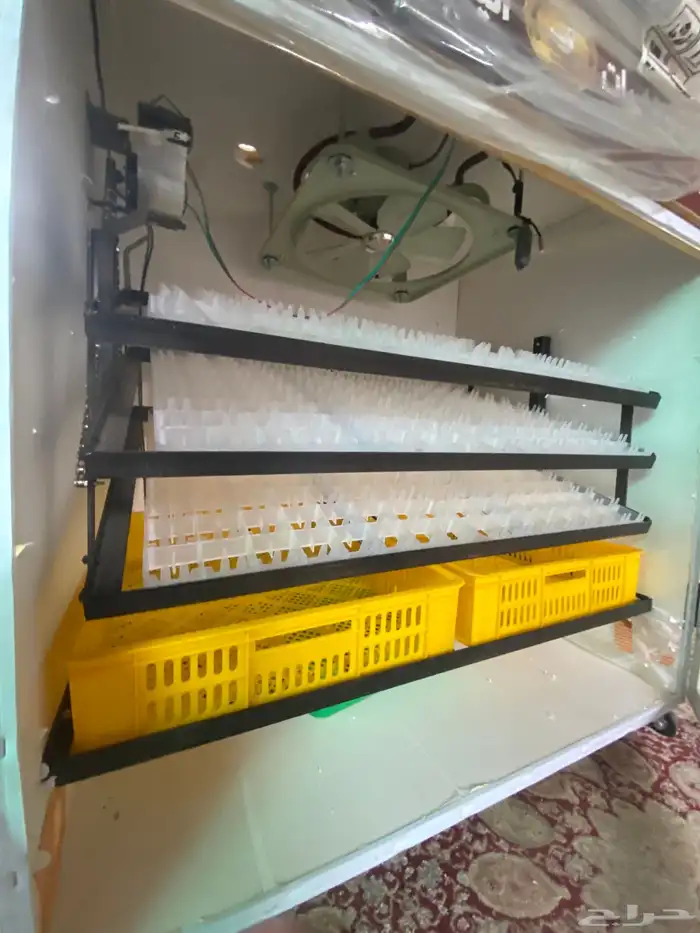 فقاسات الياسريه 3