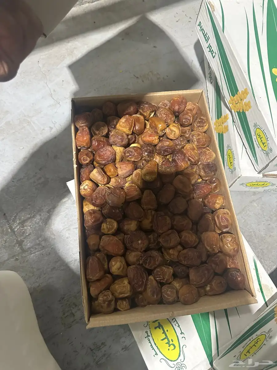 تمر رطب سكري 2