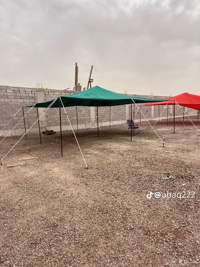 مضلات غنم وسيارات 9
