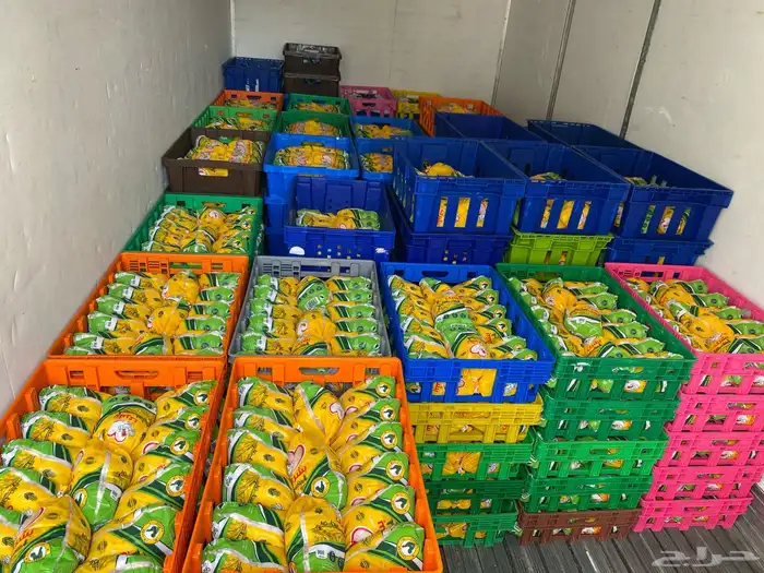 دجاج مبرد طازج ذبح يومي للمطاعم والبقالات 1