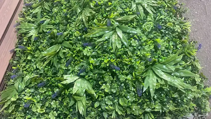 عشب صناعي جداري 24