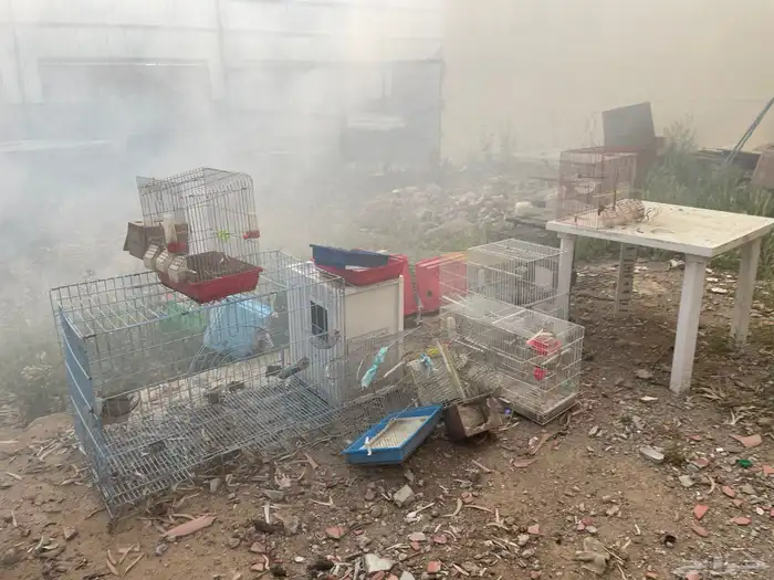 اقفاص طيور 0