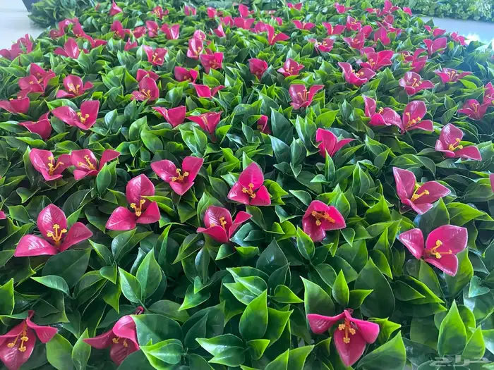 عشب صناعي جداري 0