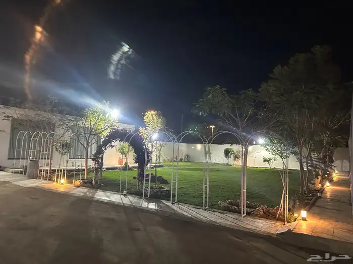عشب طبيعي C2000 أمريكي 1