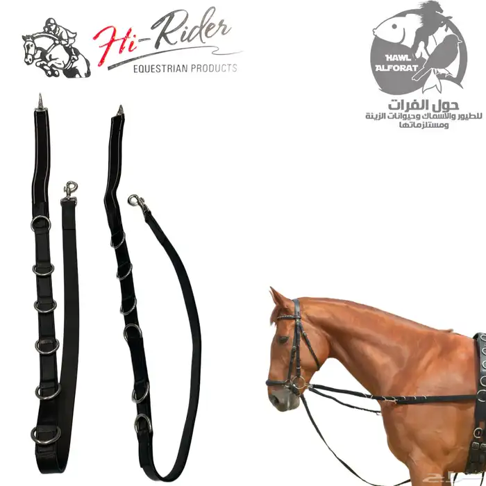 الخيل منتجات من براند هاي رايدر 16