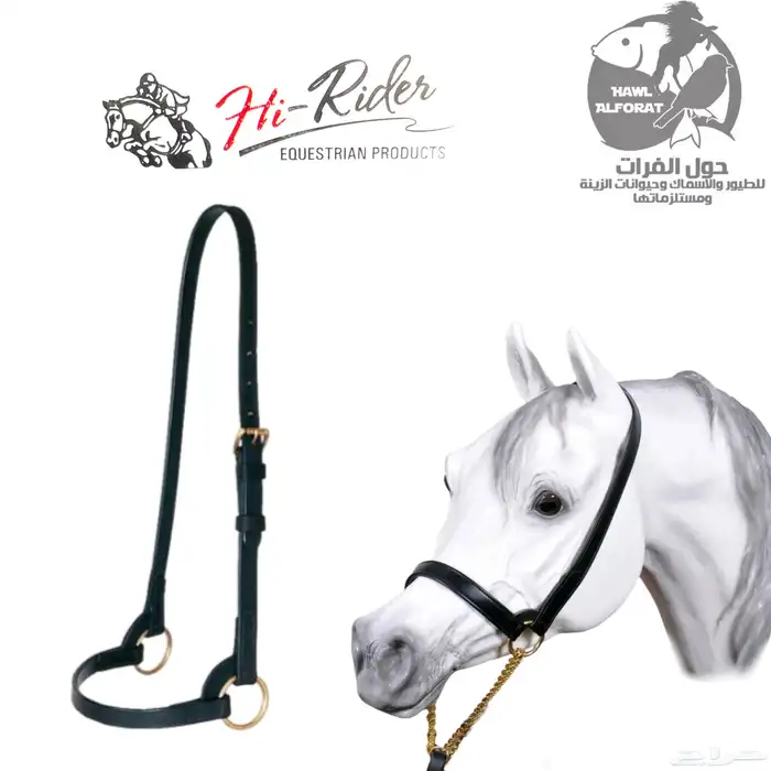 الخيل منتجات من براند هاي رايدر 36