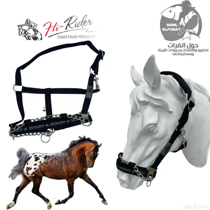 الخيل منتجات من براند هاي رايدر 20