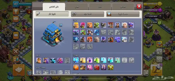 بيت 12 ماكس ماعدا الملوك و الجنود 1
