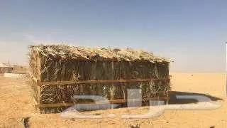 غرف خشب حمامات فيبر مظلات شينكو 11