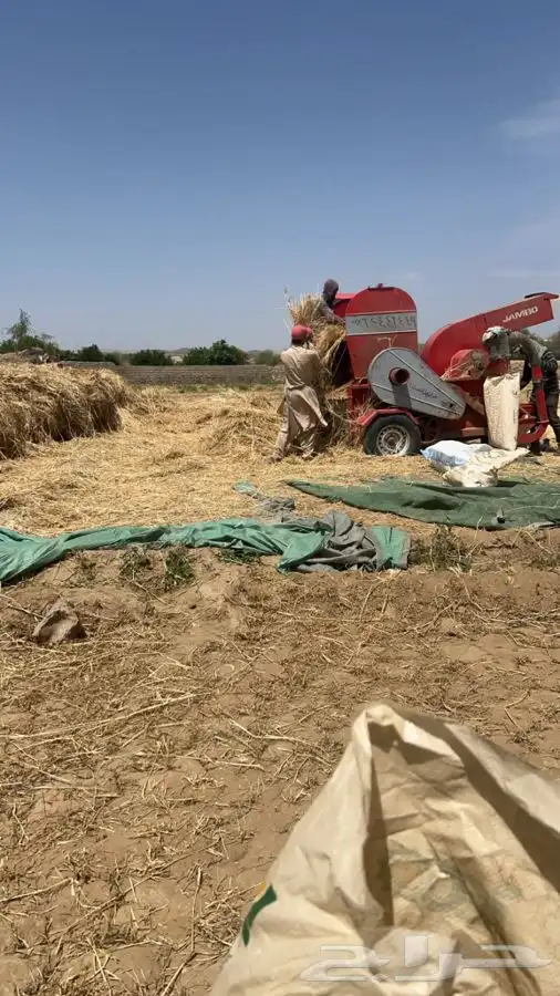 حب بر 0
