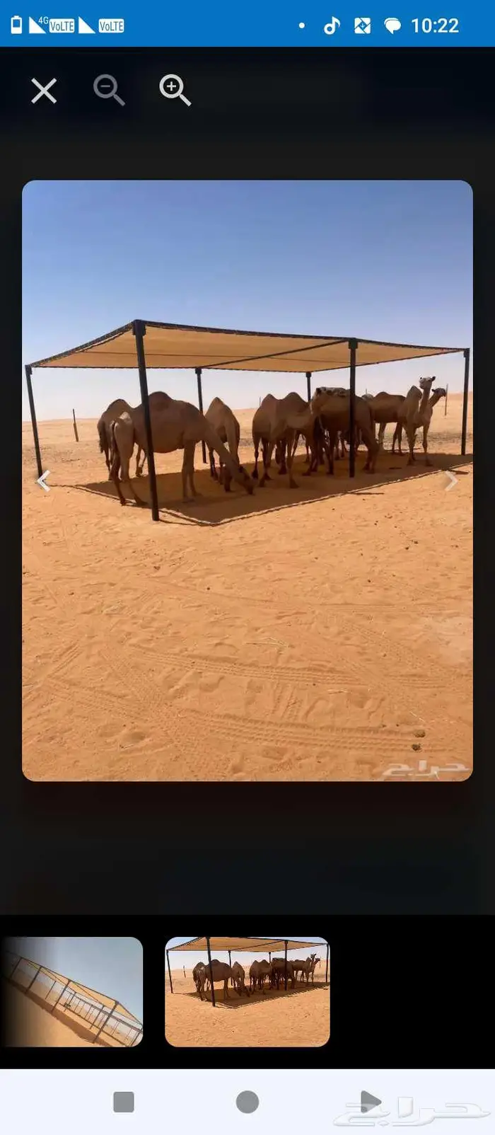 مظلات ابل غرف خشب حواض رودس درف ابل 9