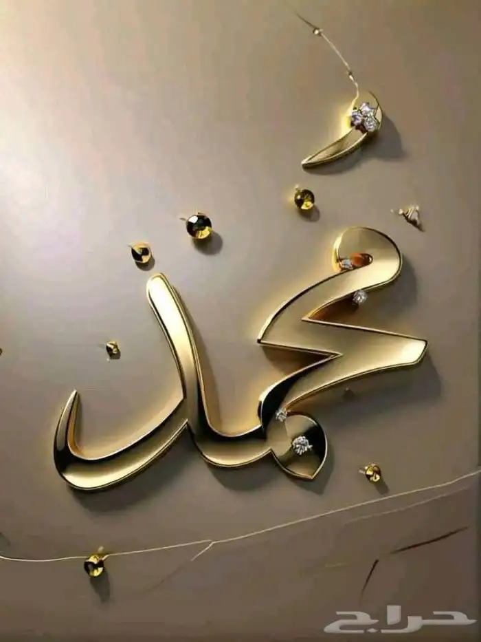 ابواب خشب 4