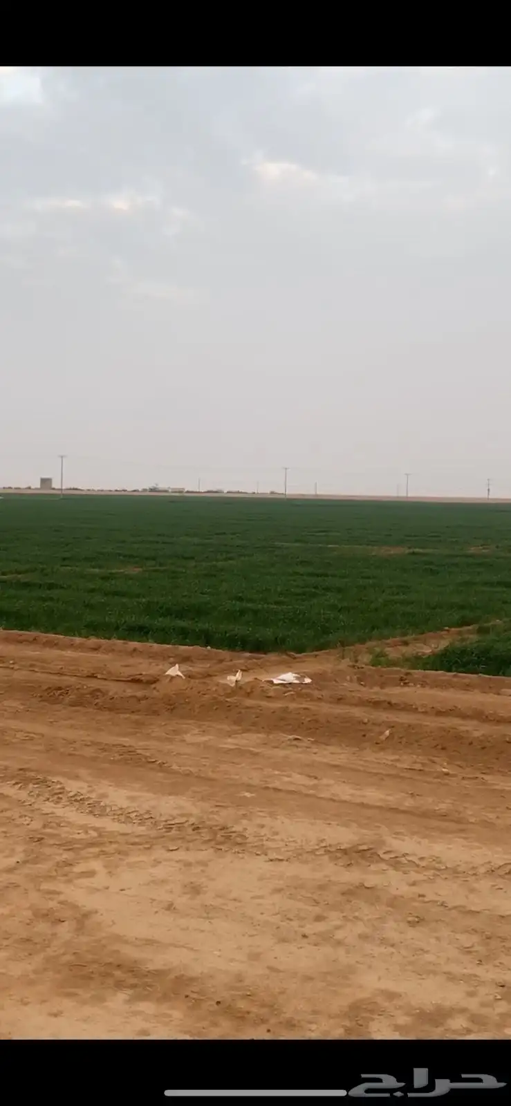 مزرعه لبيع 0