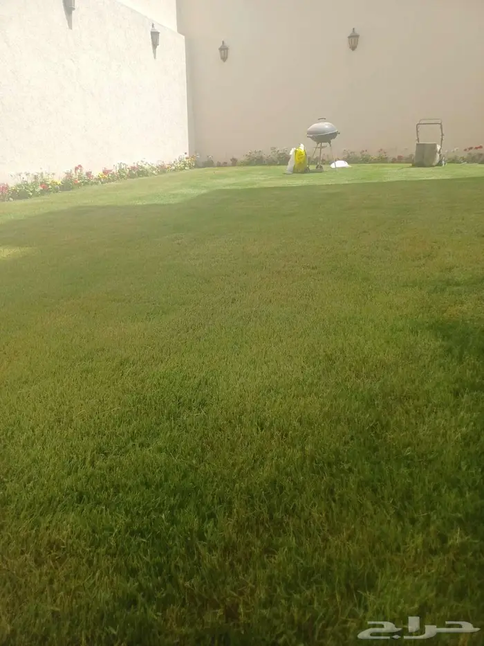 ثيل طبيعي ونخل وأشجار 4