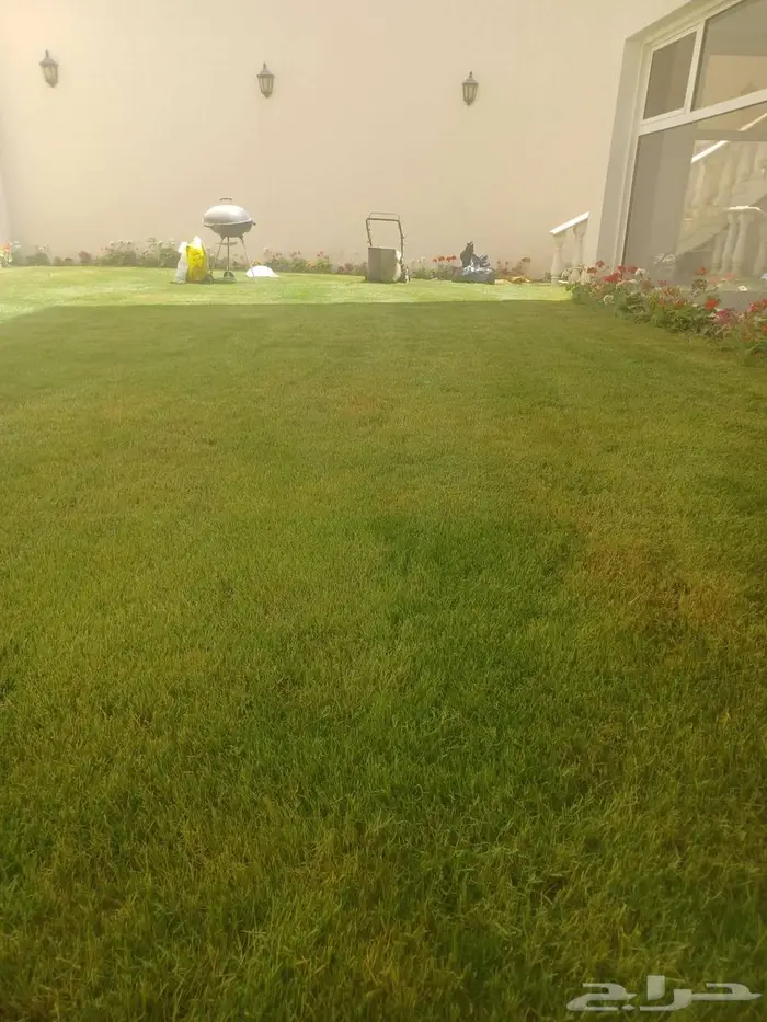 ثيل طبيعي ونخل وأشجار 1