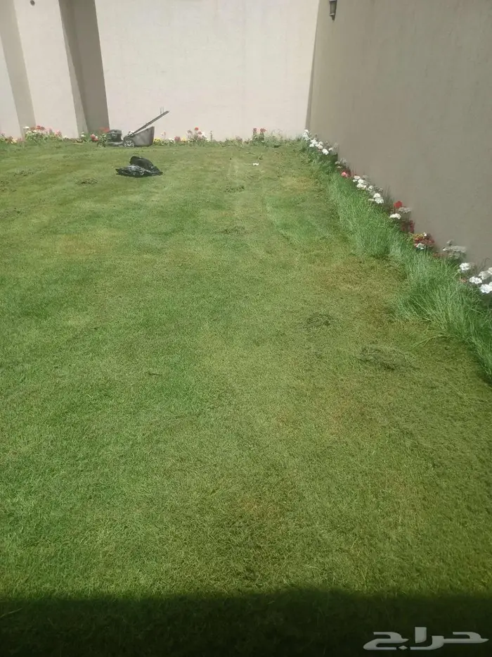 ثيل طبيعي ونخل وأشجار 2