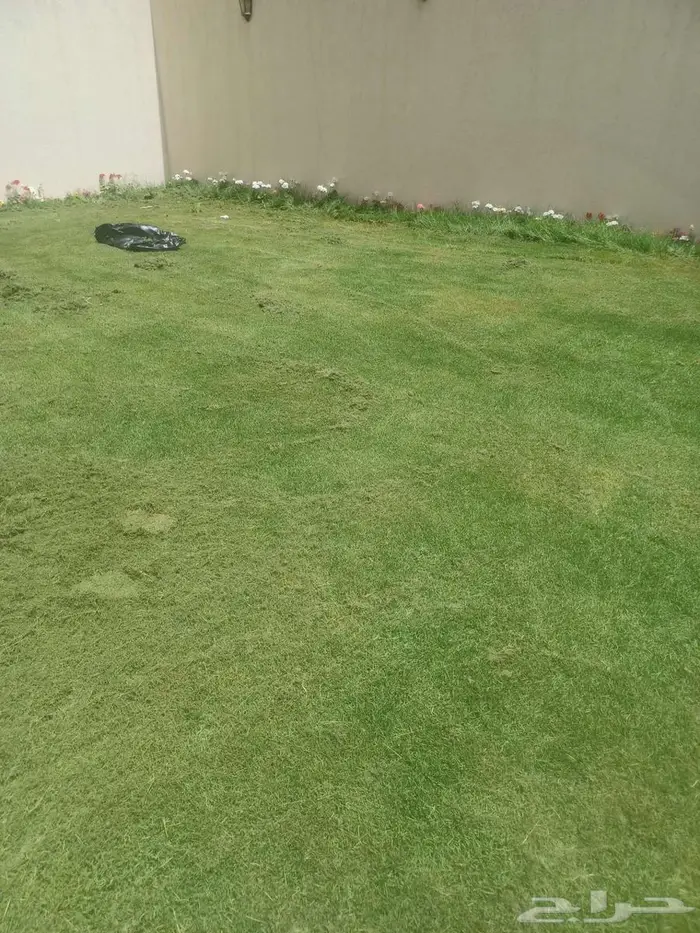 ثيل طبيعي ونخل وأشجار 0