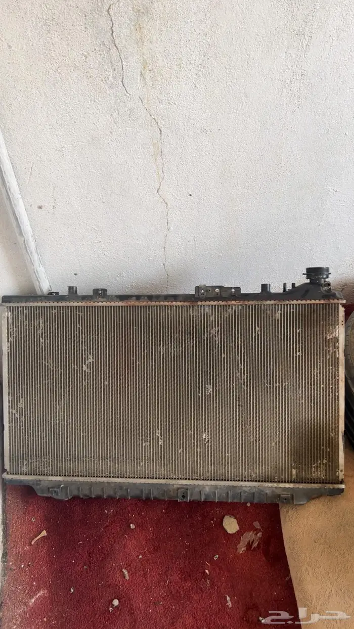 اديتر كابرس 2013 1